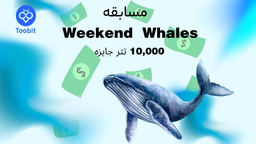 مسابقه Weekend Whales توبیت
